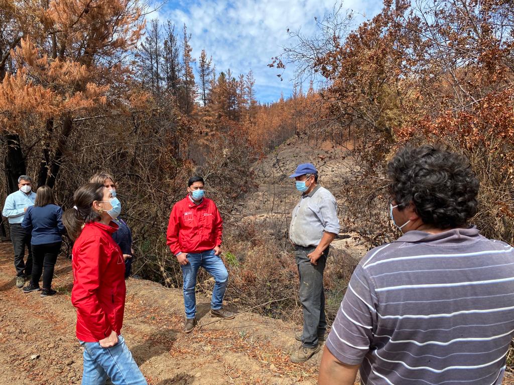 Gobierno entrega ayuda a familias afectadas por incendios forestales en Malleco