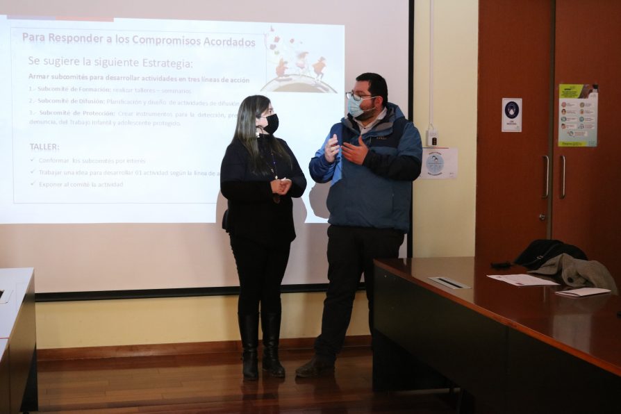 Mesa de Erradicación del Trabajo Infantil sesiona por primera vez en Malleco