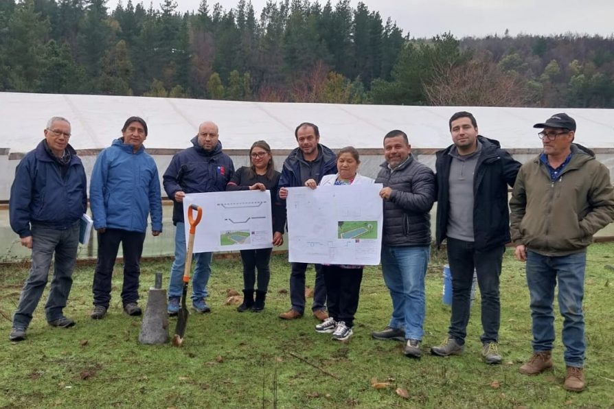 Proyecto de Riego para agricultora de Collipulli impulsa producción hortalicera en Malleco