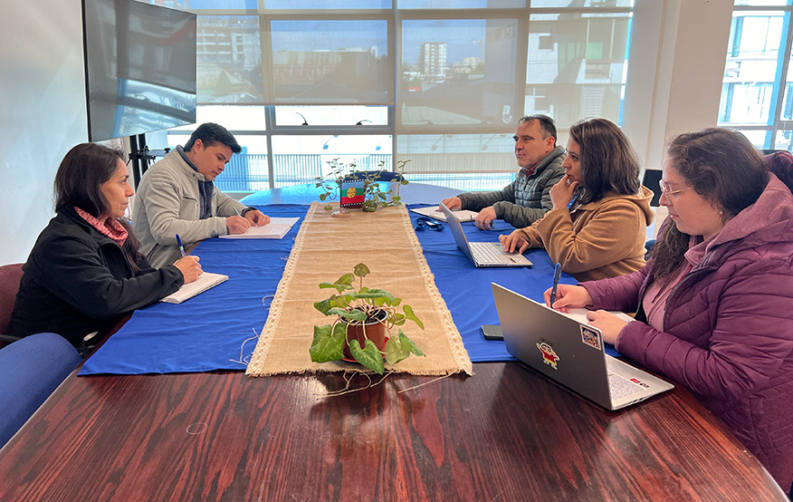 Reunión con Conadi abre puertas a la renovación de convenio Riego y Tierras con la Delegación Provincial