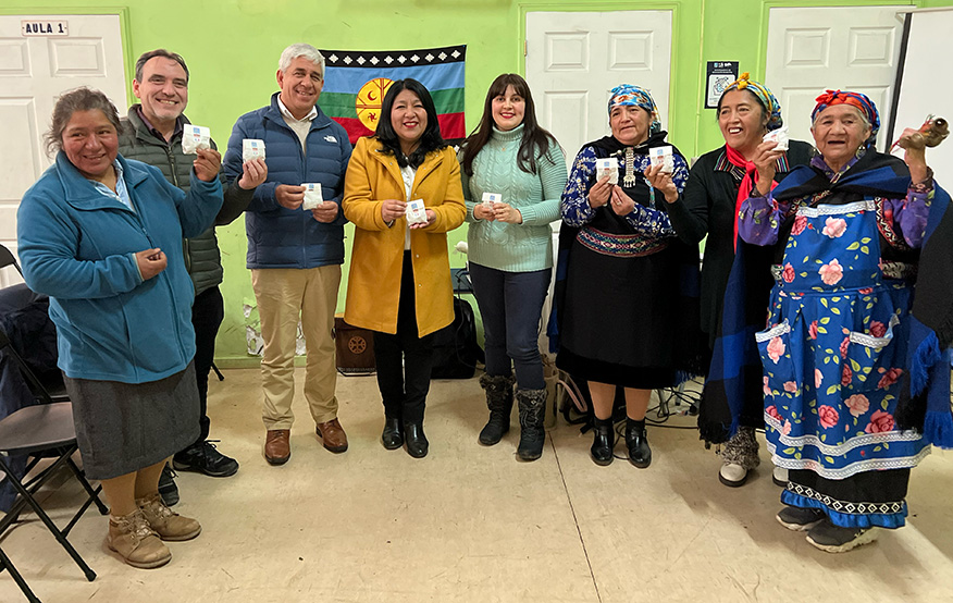 Delegación Presidencial de Malleco celebra a las mujeres indígenas del mundo con actividad social en Lonquimay