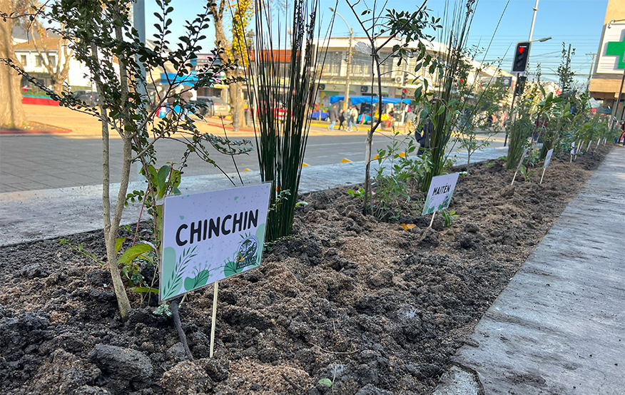 “Jardín de Nahuelbuta”: DPP Malleco, municipio y red de emprendedores inauguran renovado frontis de edificio gubernamental