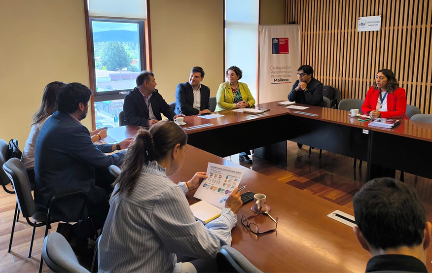 Tesorería Provincial de Malleco capacita a equipos de apoyo a víctimas de violencia rural